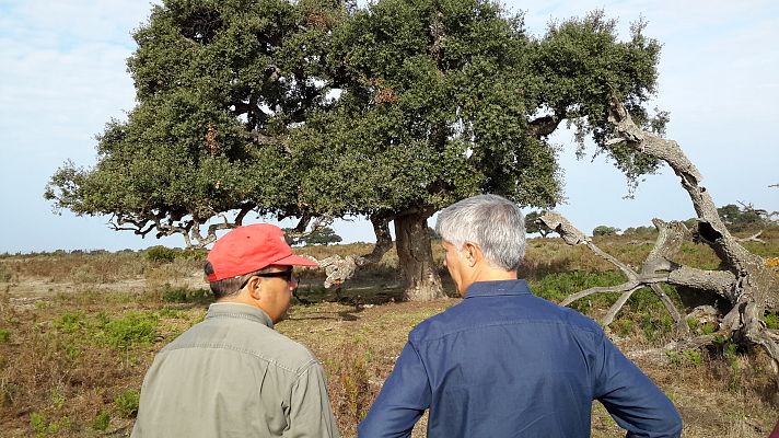 Lab24 - Ecología en Doñana y Einstein por España