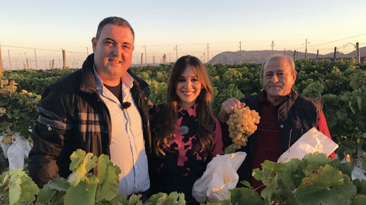 Aquí la Tierra - Adopta a Marta: a por uvas