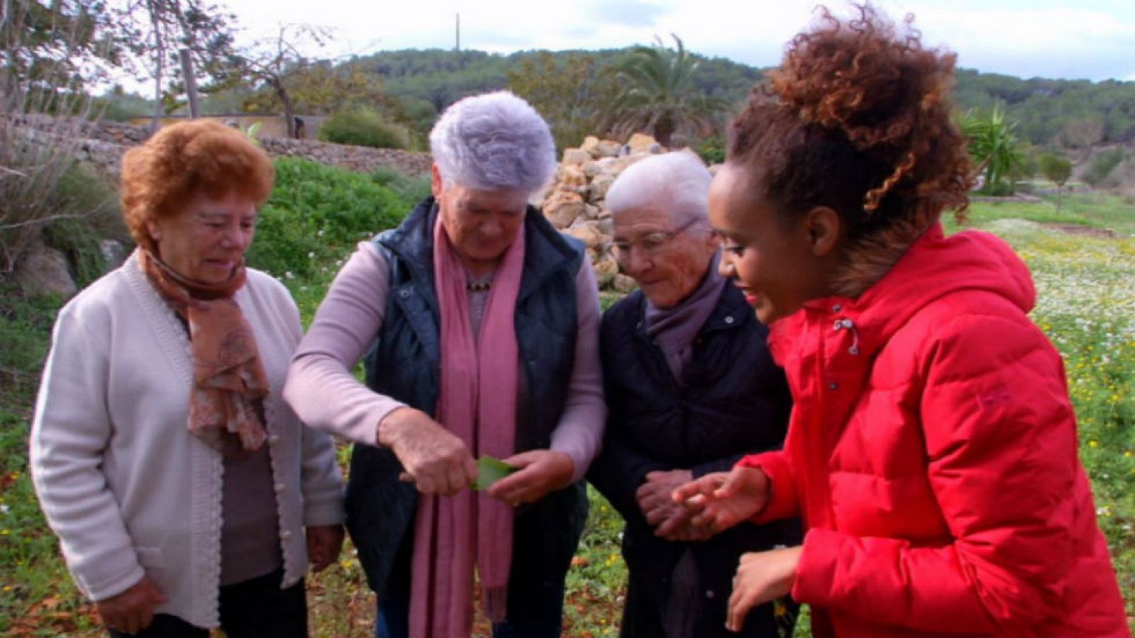 La vida secreta de las plantas