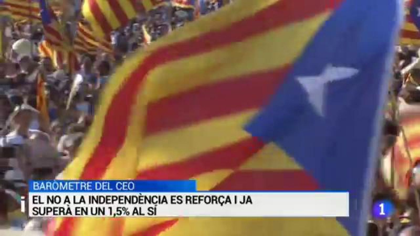 L'Informatiu en 3' - 29/12/2016