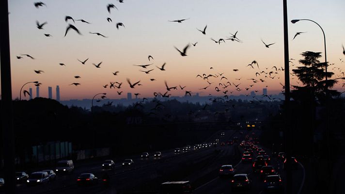 Telediario 1 - Telediario 2 en 4' - 29/12/16