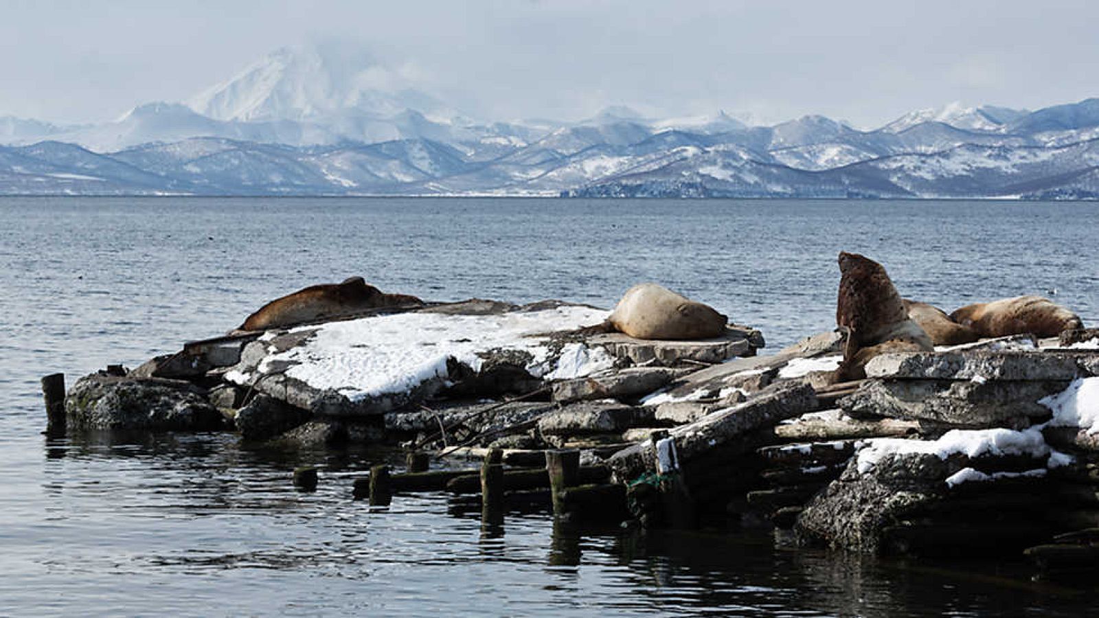 El documental - Un mundo aparte: Los hombres del hielo - ver ahora