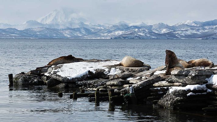 El documental - Un mundo aparte: Los hombres del hielo
