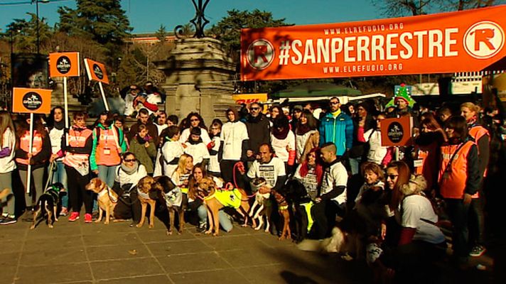 Informativo de Madrid - Informativo de Madrid 2 - 30/12/16