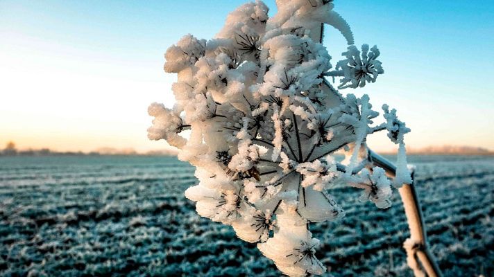El tiempo - 20 provincias en alerta por mínimas de hasta -7 grados