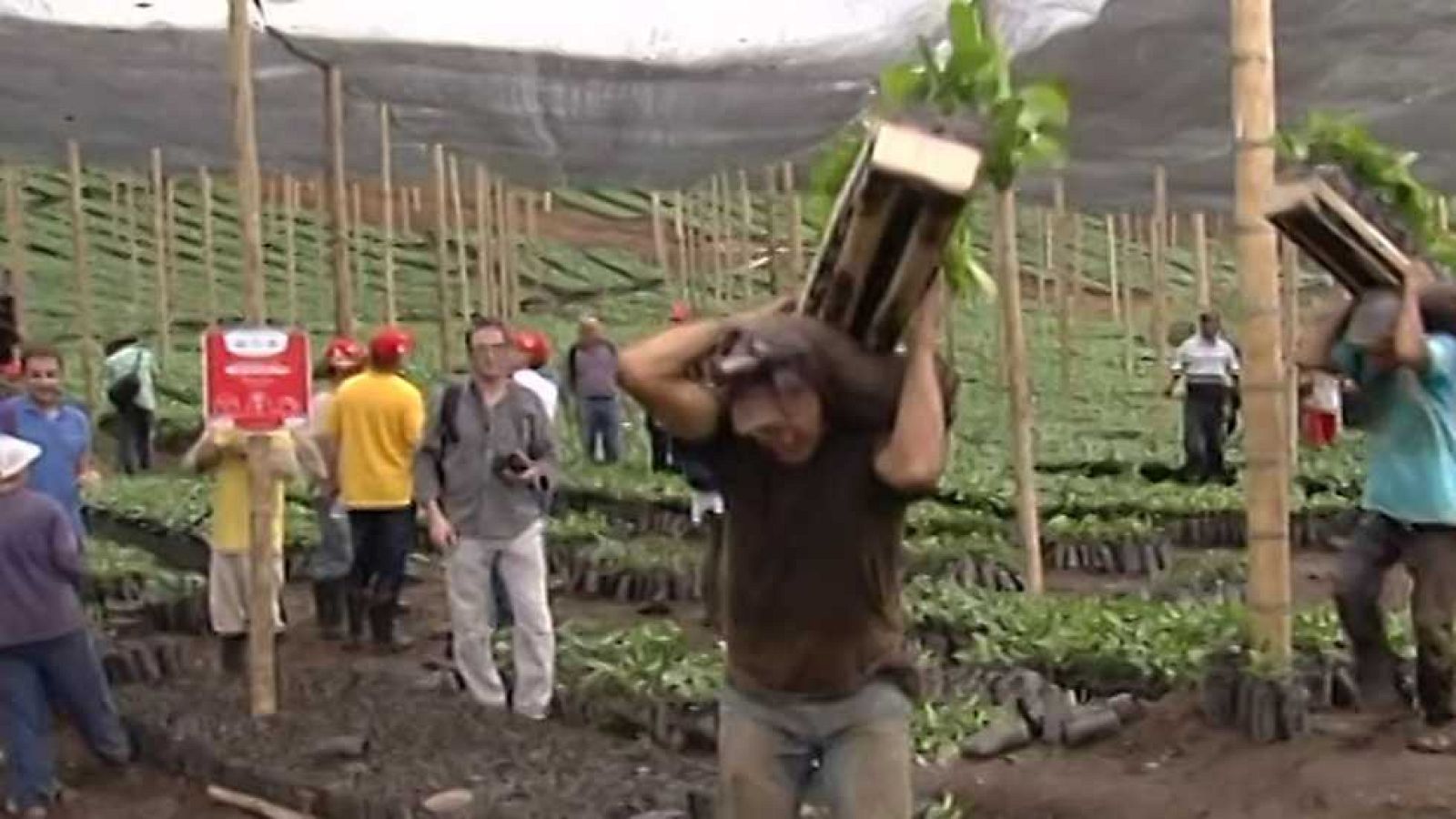 Agrosfera - 31/12/16 - ver ahora