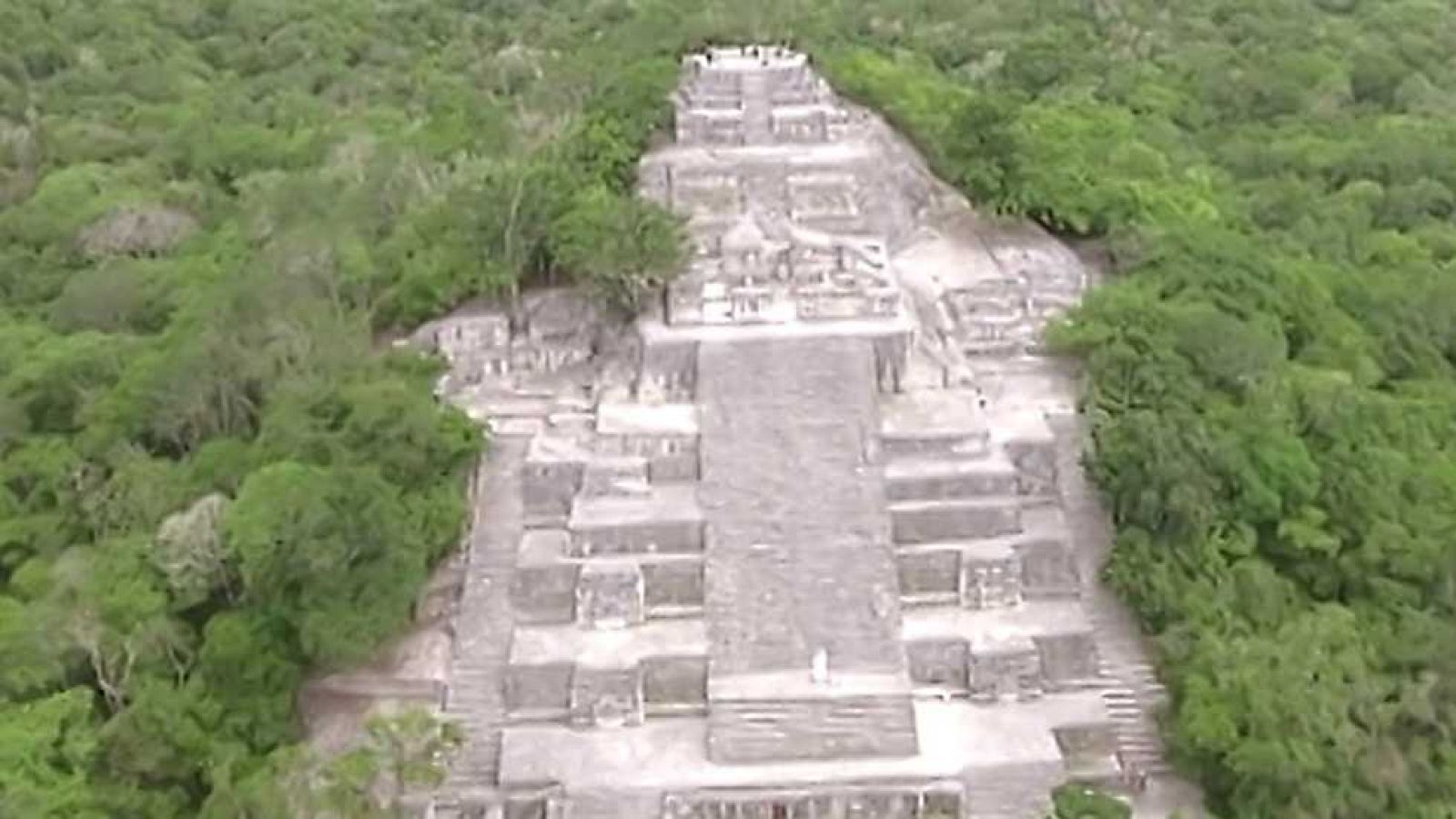 Ruta Quetzal - Chicozapote, el árbol que sangra - ver ahora