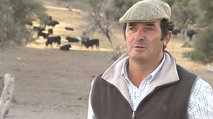 Tendido cero - Tendido Cero - 31/12/16