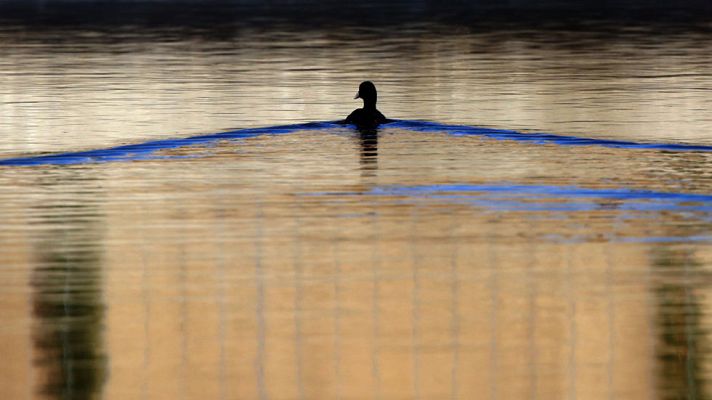 El tiempo - Heladas significativas en ambas mesetas y en el área pirenaica