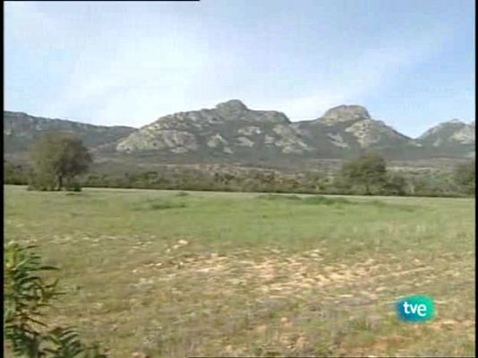 Espacios naturales - Archipiélago de Cabrera