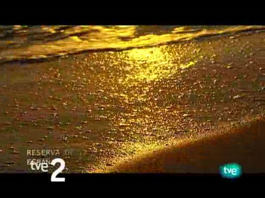 Espacios naturales - Reserva biosfera mundo