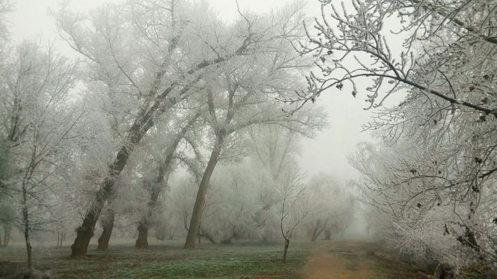 El tiempo - Heladas y niebla en el interior peninsular