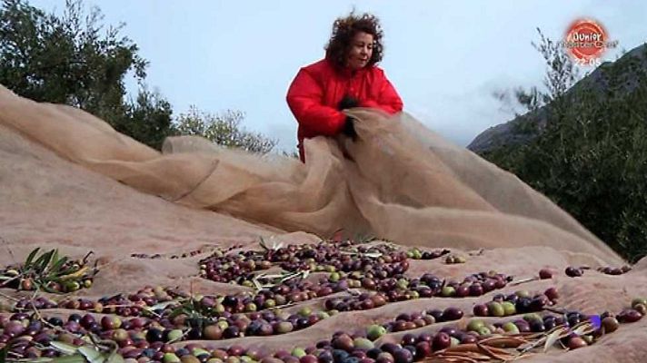 Aquí la Tierra - Aquí la Tierra - 03/01/17