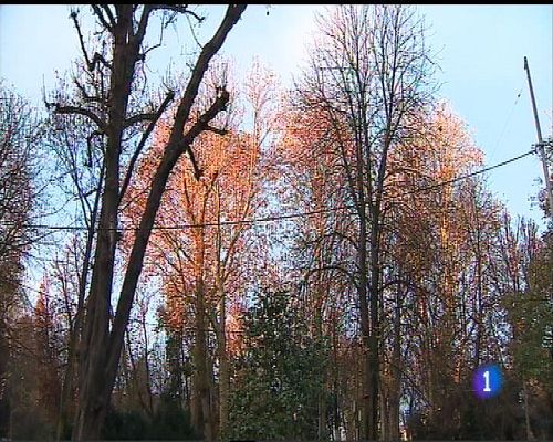 Panorama Regional - El tiempo en Asturias - 04/01/17