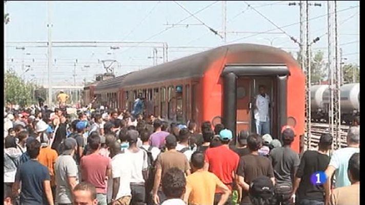 Informatiu Balear - L'Ibavi cedeix 10 habitatges a la Creu Roja per als refugiats