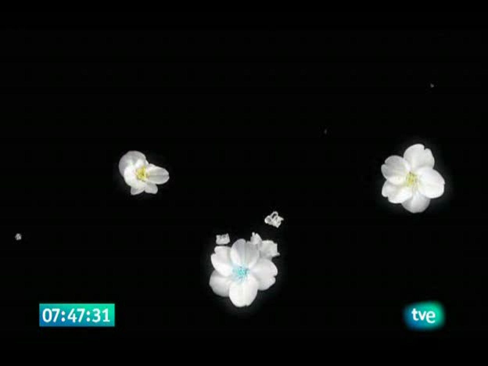 El jardín de los sueños - El Jardín de los Sueños | Ver