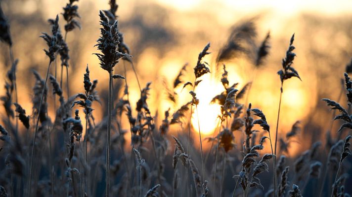 El tiempo - Un total de 17 provincias estarán en alerta amarilla por bajas temperaturas