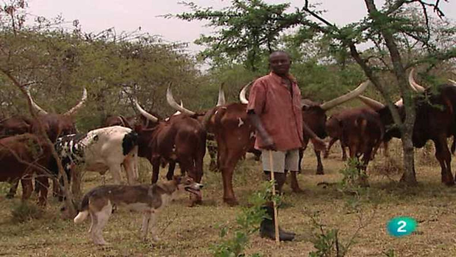 Otros pueblos - Del Nilo Blanco al reino Ankole - ver ahora