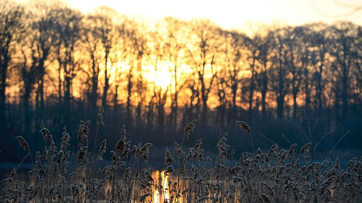 El tiempo - Cielos poco nubosos y heladas en el interior peninsular