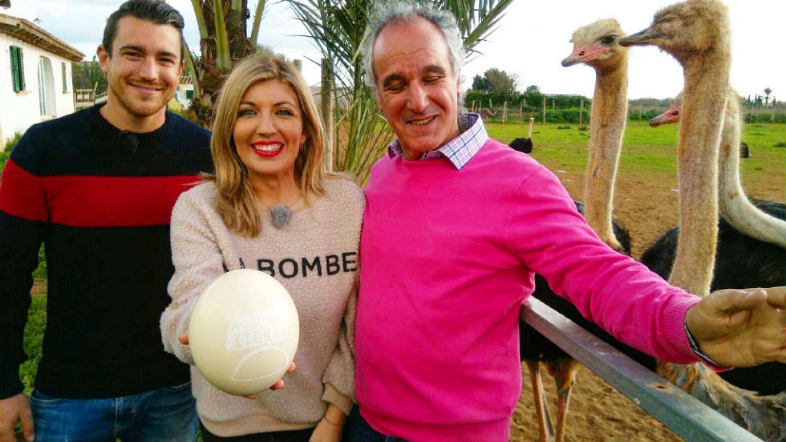 Impresionante avestruz