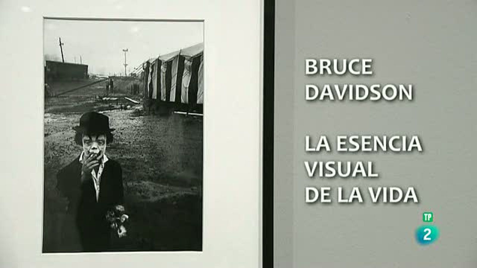 La Aventura del Saber.  La fotografía humanista de Bruce Davidson