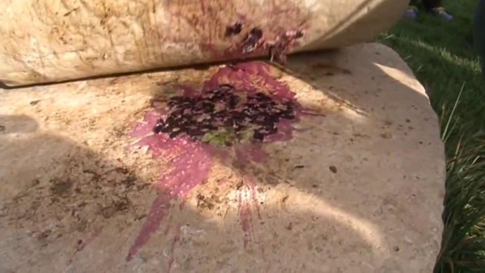 Comando Actualidad - Virgen Extra - Avance