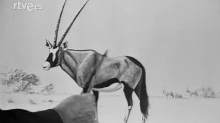 El planeta azul - El órix