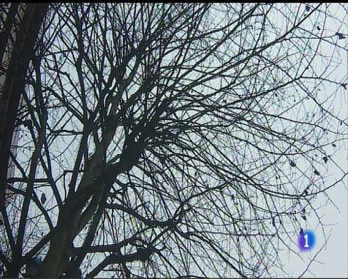 Panorama Regional - El tiempo en Asturias - 11/01/17