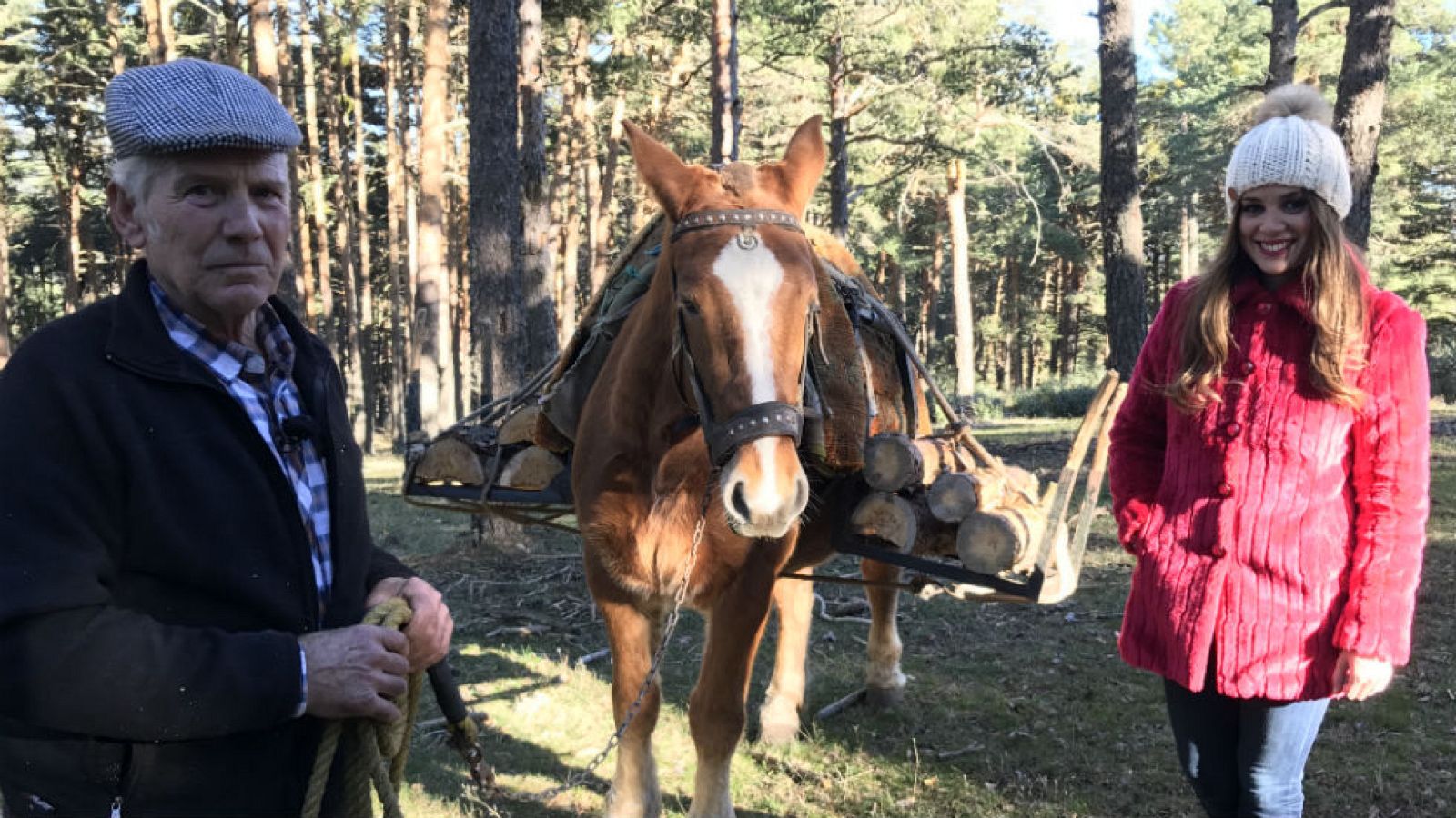 El oficio del gabarrero