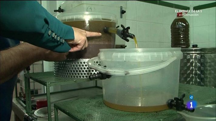 Comando Actualidad - La mini almazara doméstica