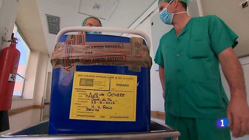 L'Informatiu - Comunitat Valenciana 2 - 12/01/17 - ver ahora