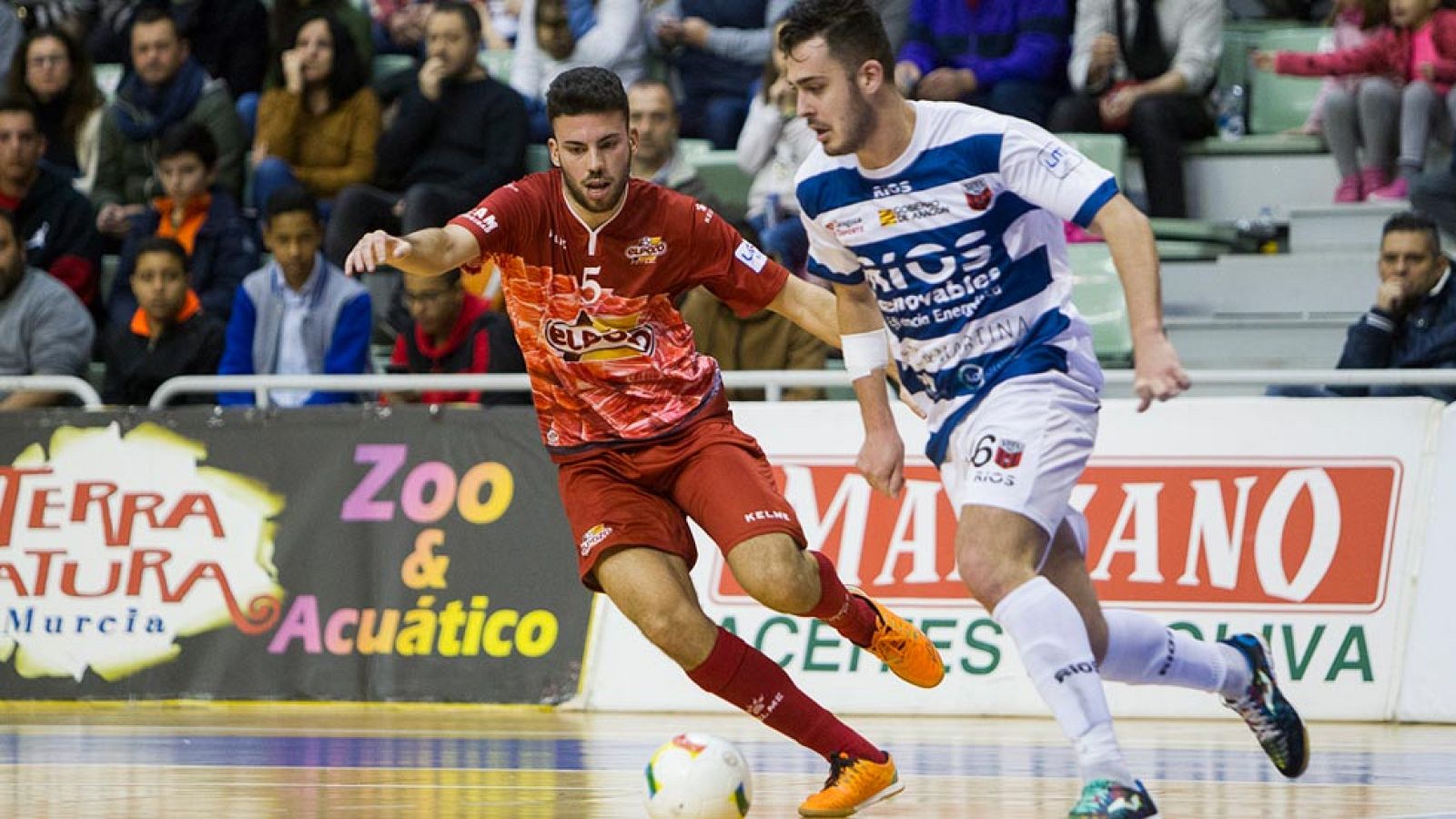 LNFS - Jornada 16: ElPozo Murcia 9-0 Ríos Renovables Zaragoza | Ver