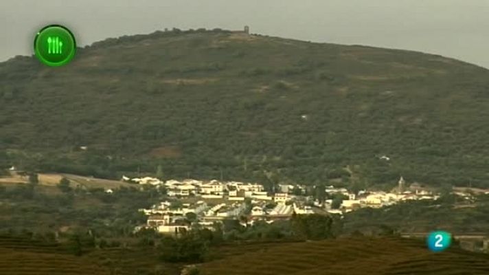 Agrosfera - Ginebra ecológica