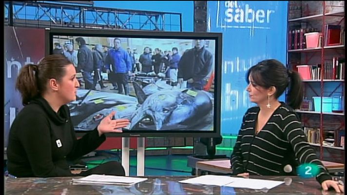 La aventura del Saber - Consumo responsable de pescado