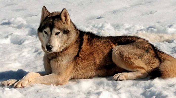 Saber y ganar - Saber y ganar - 16/01/17