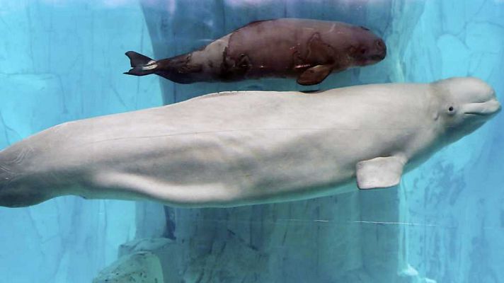 La 2 Noticias - La 2 Noticias - 16/01/17