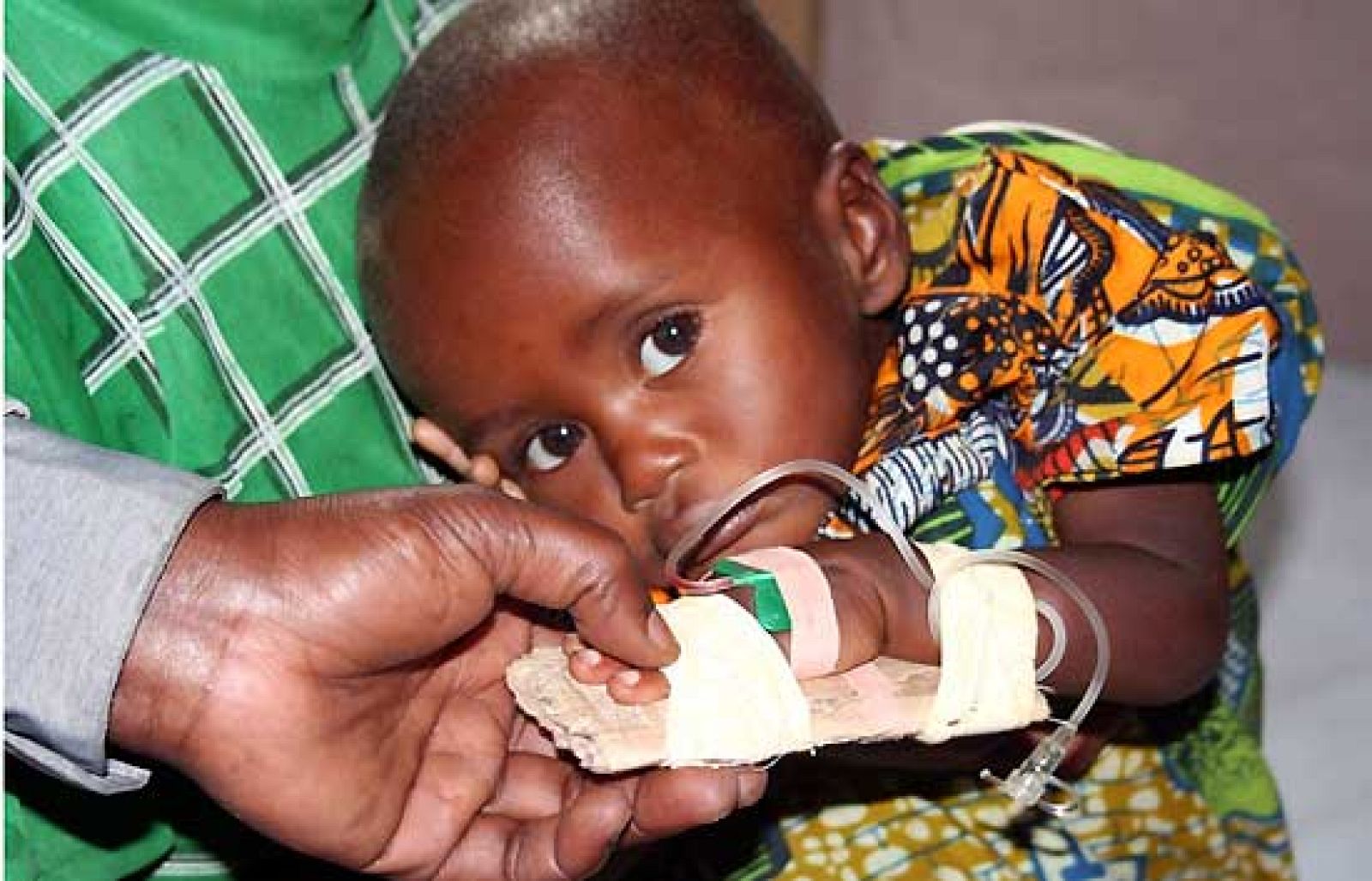 Las guerrillas han masacrado brutalmente a 700 congoleños | Ver