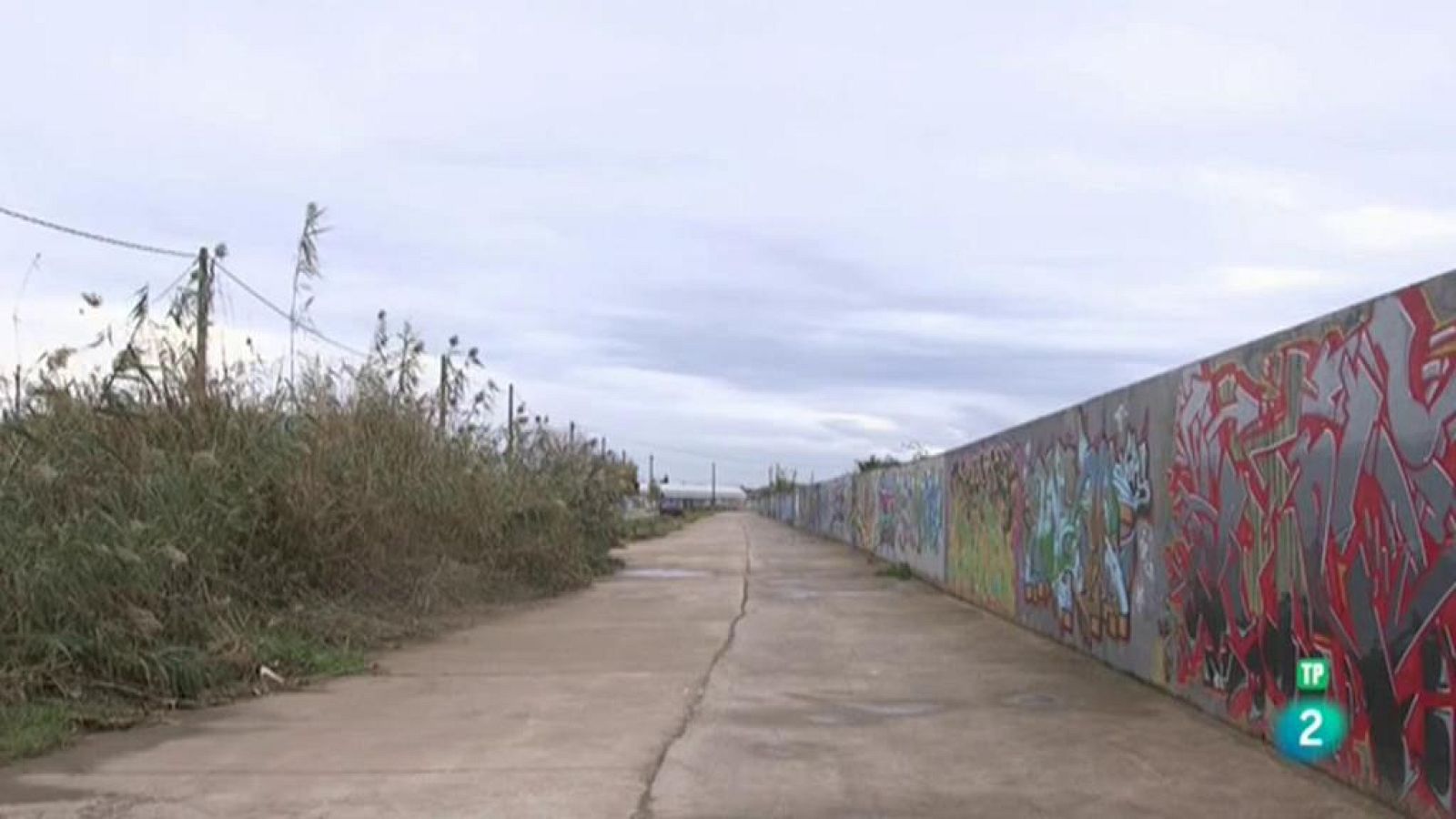 Página Dos - Las recomendaciones del programa