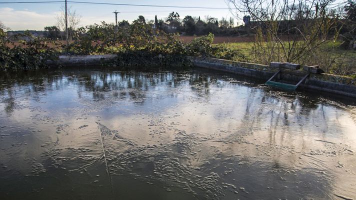 Informativo de Madrid - El Tiempo en la Comunidad de Madrid - 18/01/2017