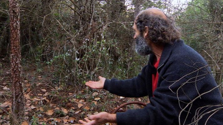 Aquí la Tierra - El señor de los bosques, entre setas