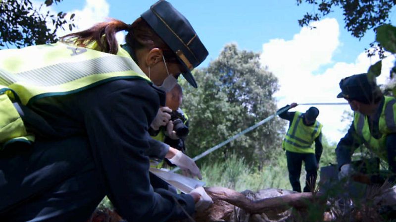 Ciencia Forense - El asesino del círculo - ver ahora