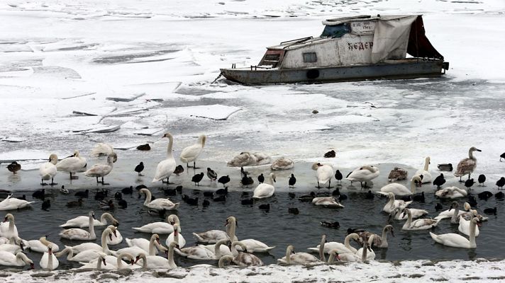 Telediario 1 - El temporal de frío y nieve sigue golpeando a varios países de Europa