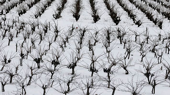 El tiempo - El Gobierno pide disculpas a las personas atrapadas por las nevadas