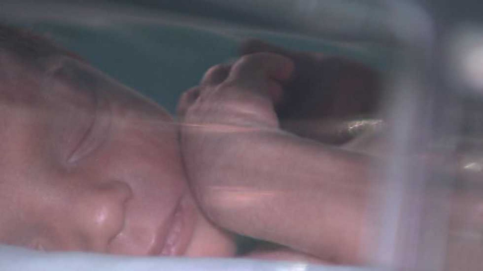 España en comunidad - 21/01/17 - ver ahora