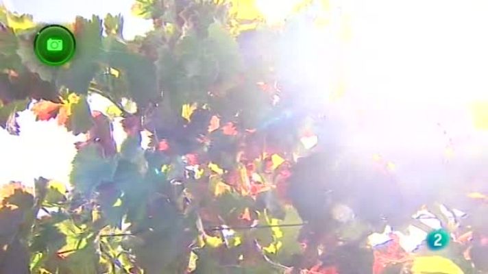 Agrosfera - Comarca de Borja, Zaragoza