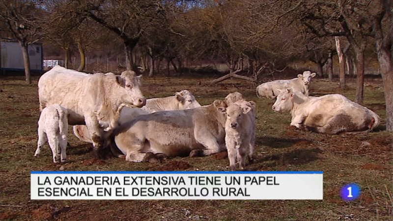 Telerioja en 2' - 23/01/17