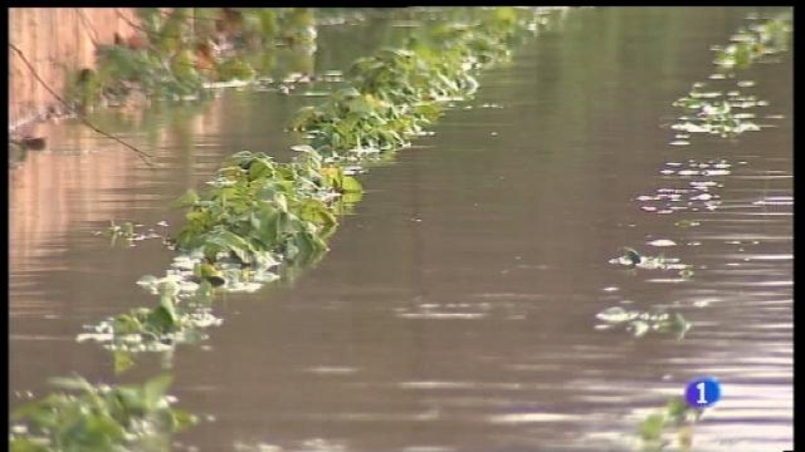 Informatiu Balear 2 - 23/01/17