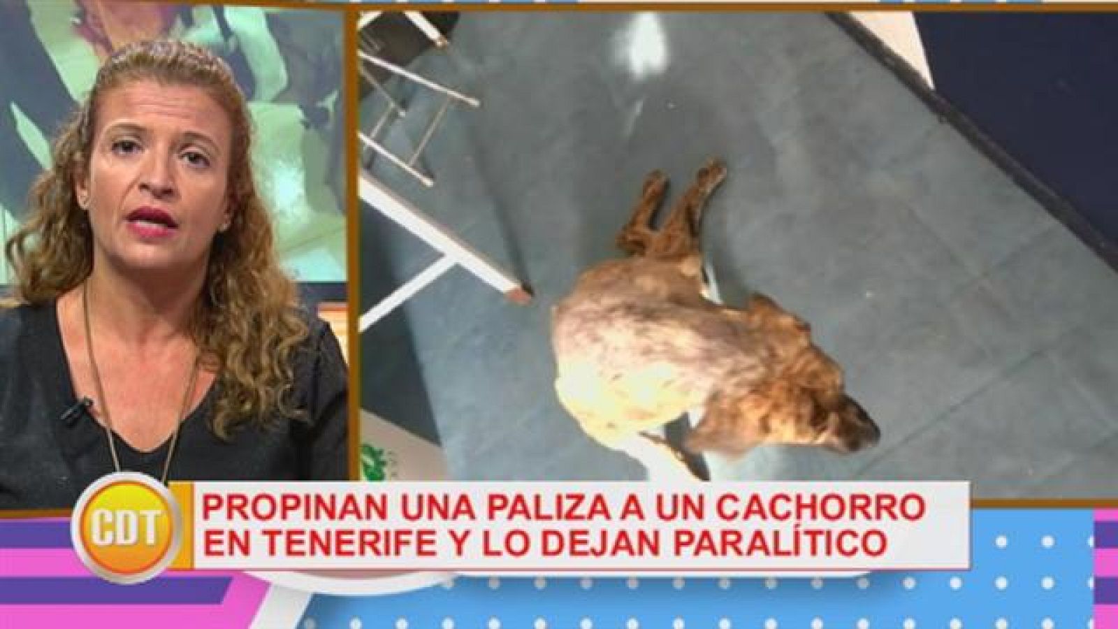 Cerca de ti - 23/01/2017