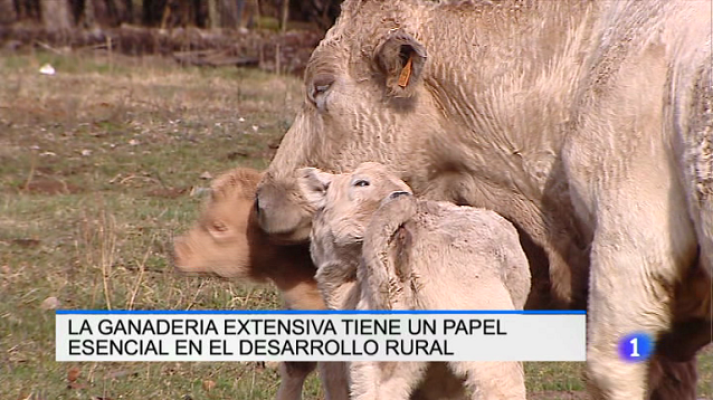 Informativo Telerioja - Informativo Telerioja 2 - 23/01/17