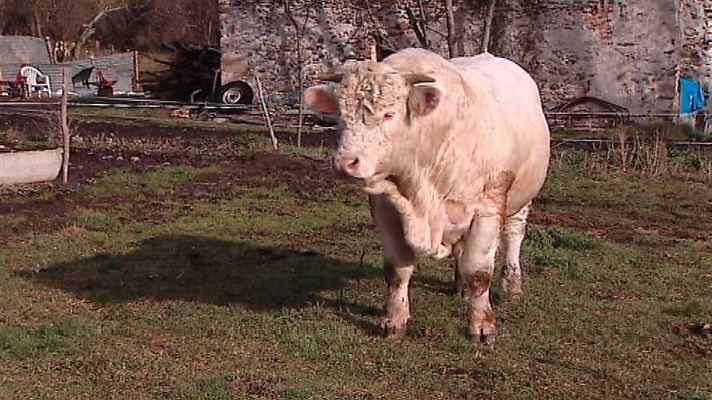 España en 24h - España en 24 horas - 23/01/17